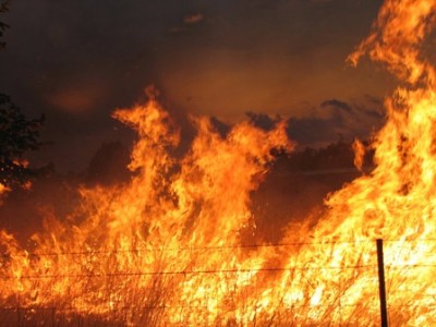 Northwest Insurance Bushfires